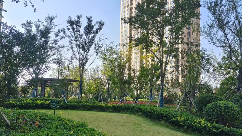 濟寧金色蘭庭&middot;香堤小區獲評2022年度濟寧市&ldquo;園林式居住區&rdquo;稱號